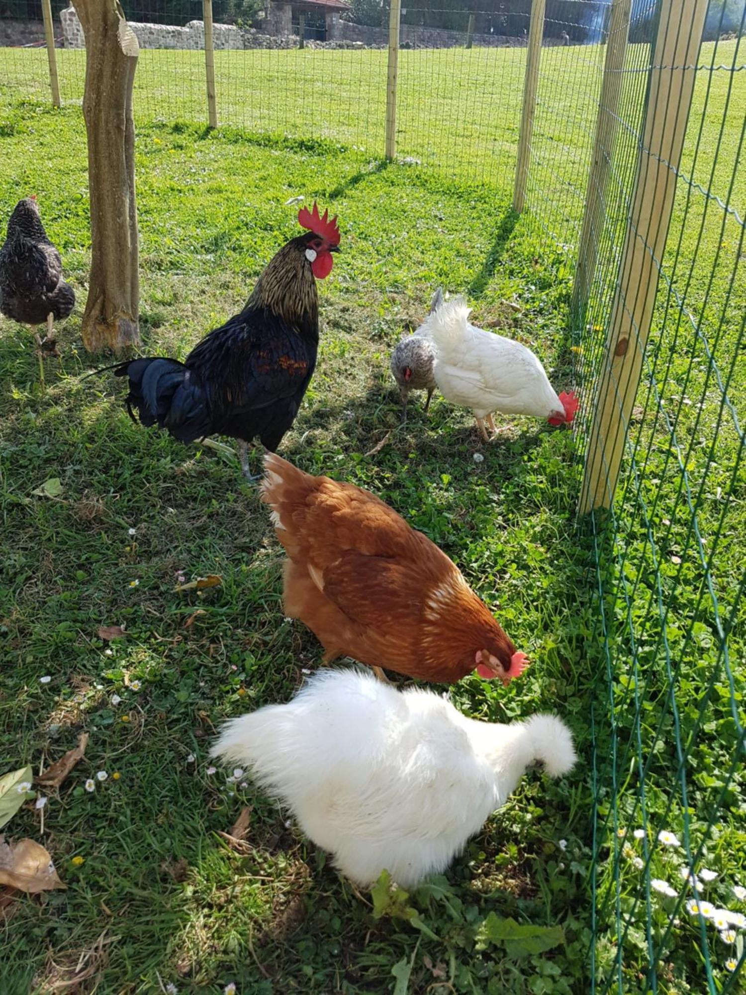 Posada Condado De La Mota Mogro Zewnętrze zdjęcie