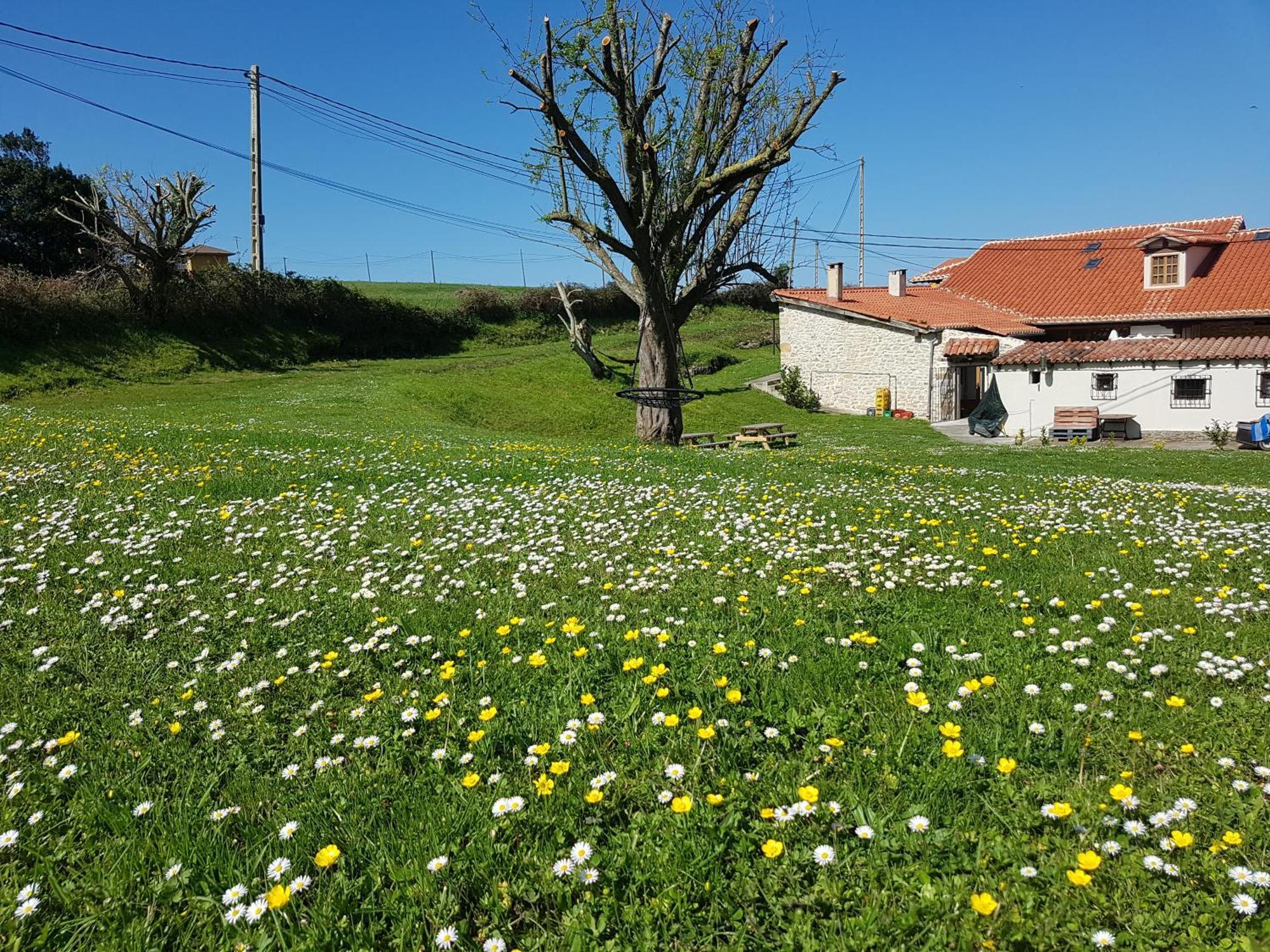 Posada Condado De La Mota Mogro Zewnętrze zdjęcie